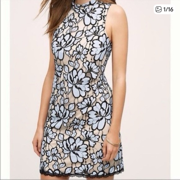 Plenty by Tracy Reese Lace Dress in Light Blue and Black - Picture 1 of 10